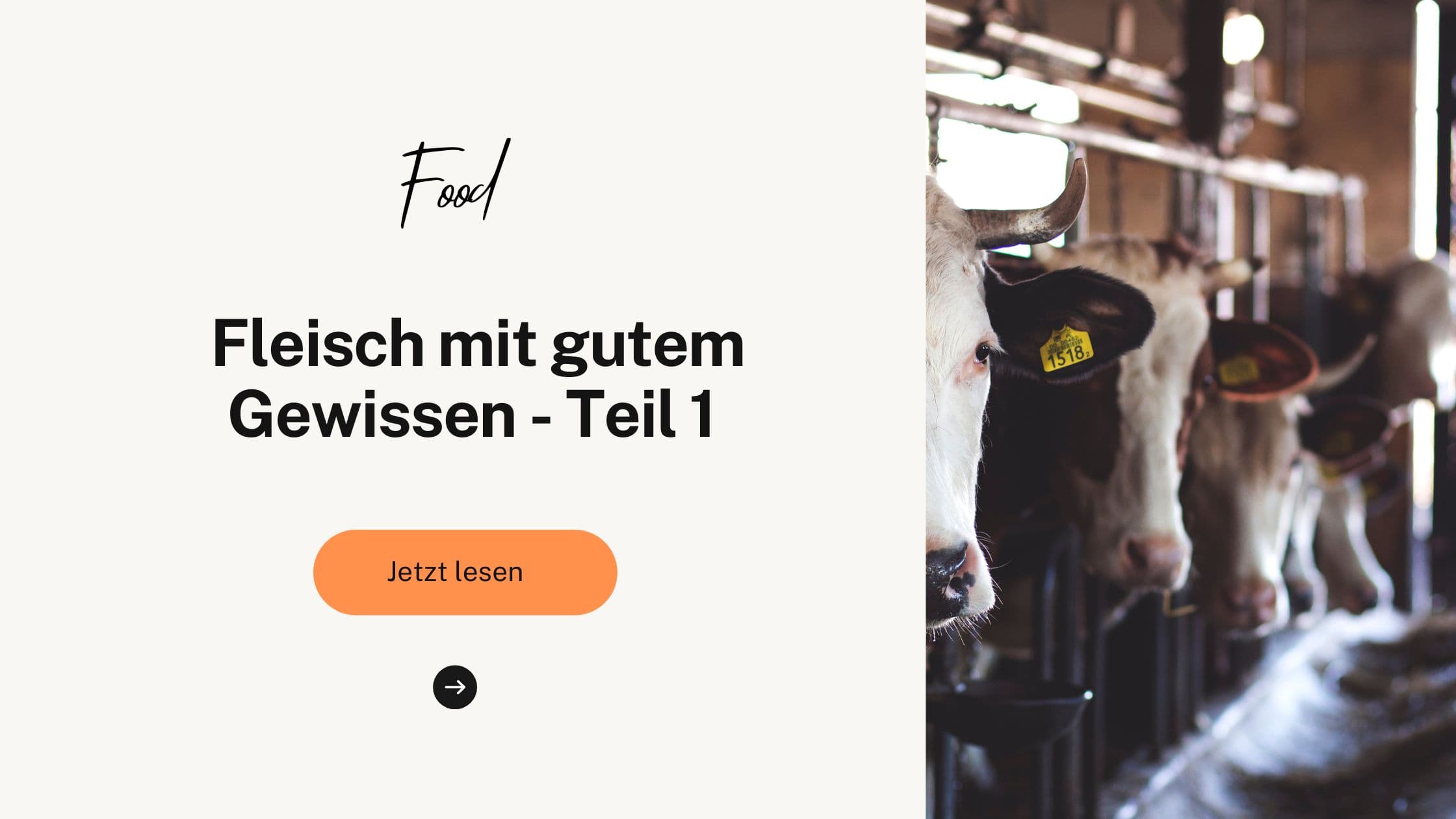 Fleisch mit gutem Gewissen - Teil 1