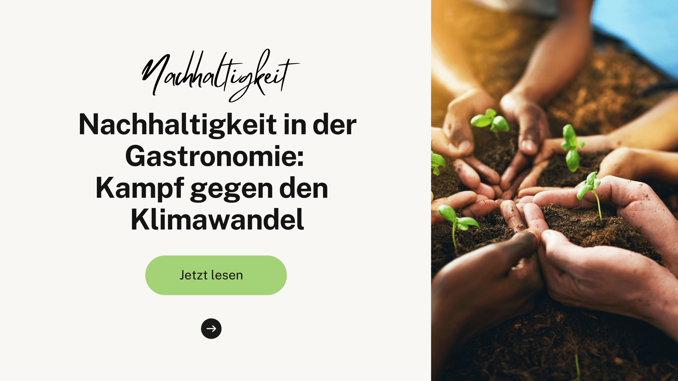 Nachhaltigkeit in der Gastronomie: Wie Unternehmen den Klimawandel bekämpfen können