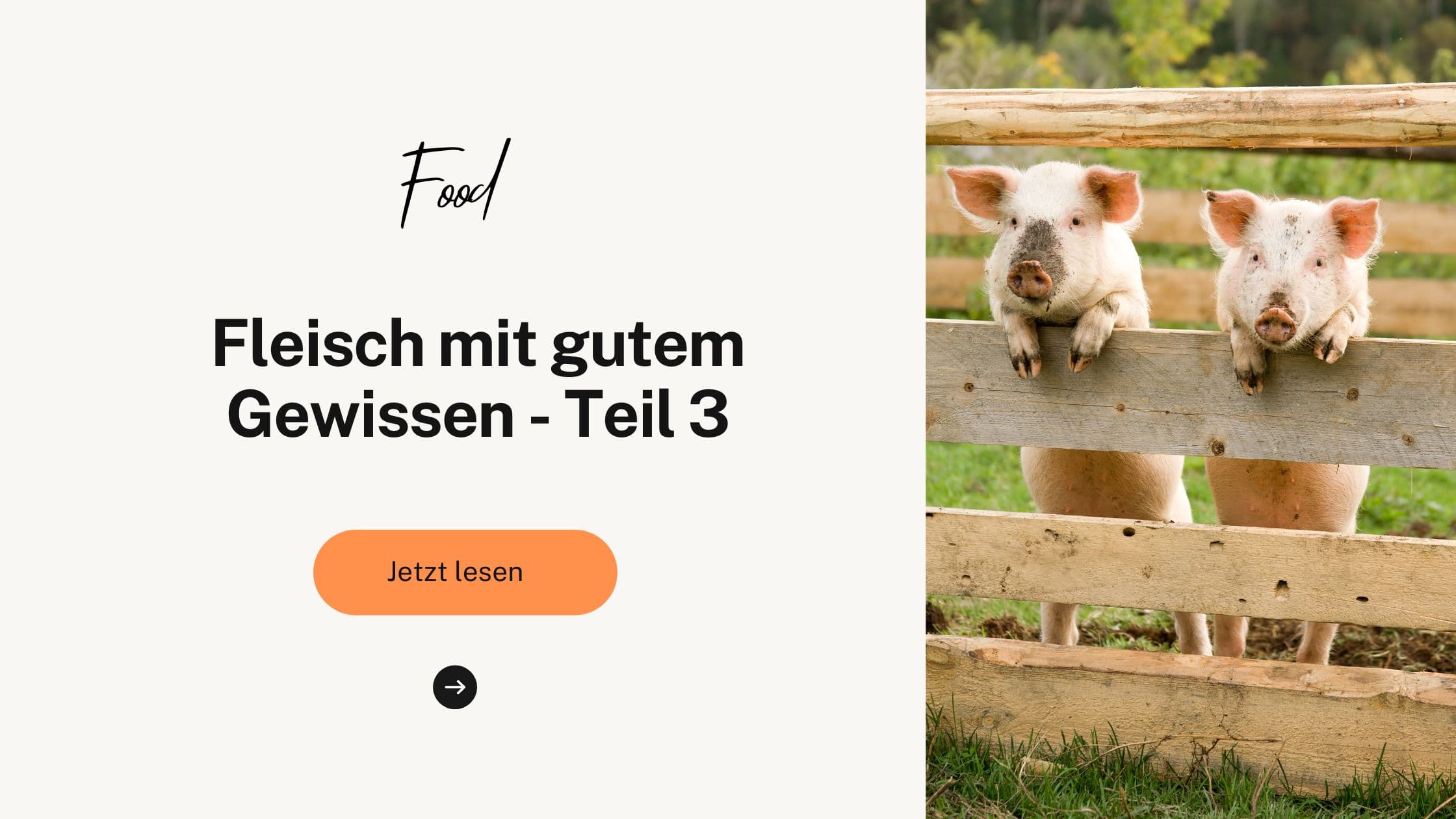 Fleisch mit gutem Gewissen - Teil 3