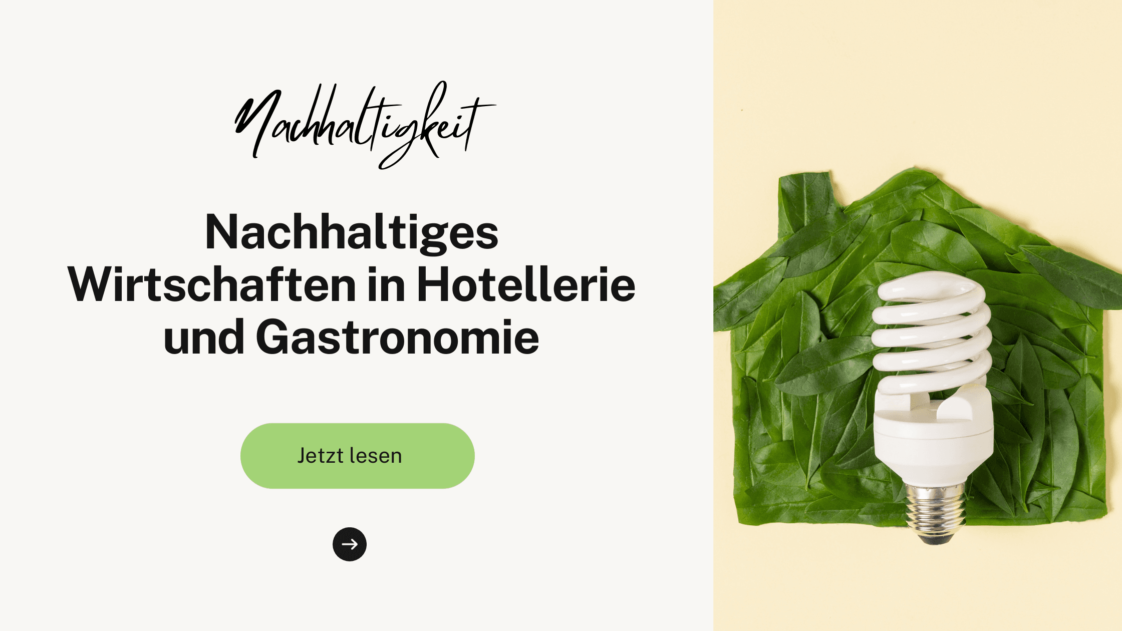 Nachhaltiges Wirtschaften in Hotellerie und Gastronomie: Ein Leitfaden für Erfolg