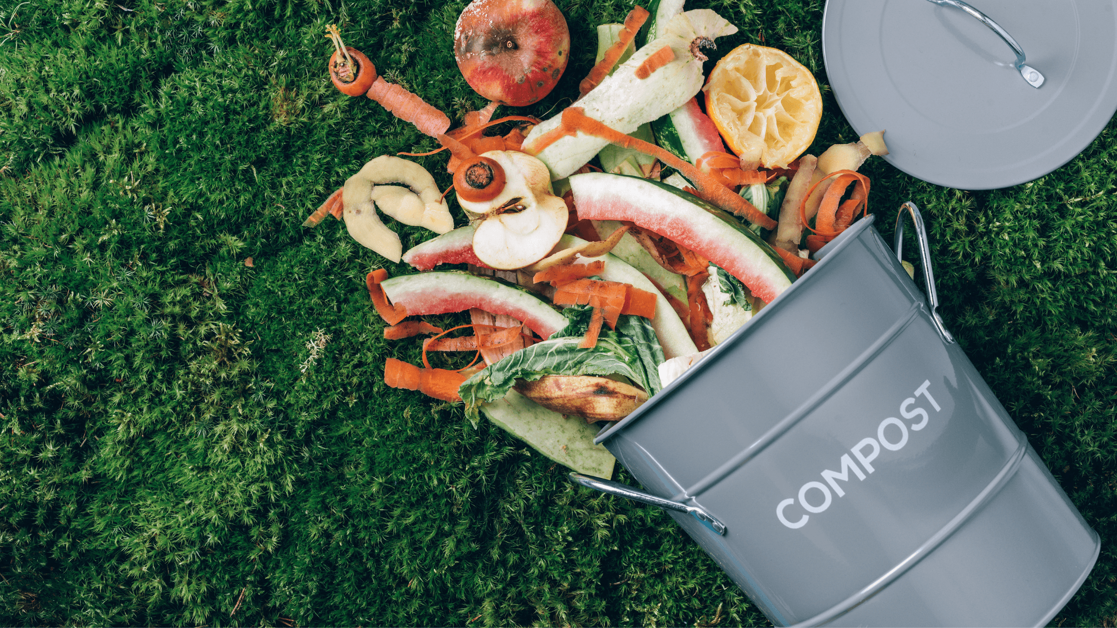 Bilder für Blogs - 2023-06-13T111818.372.png