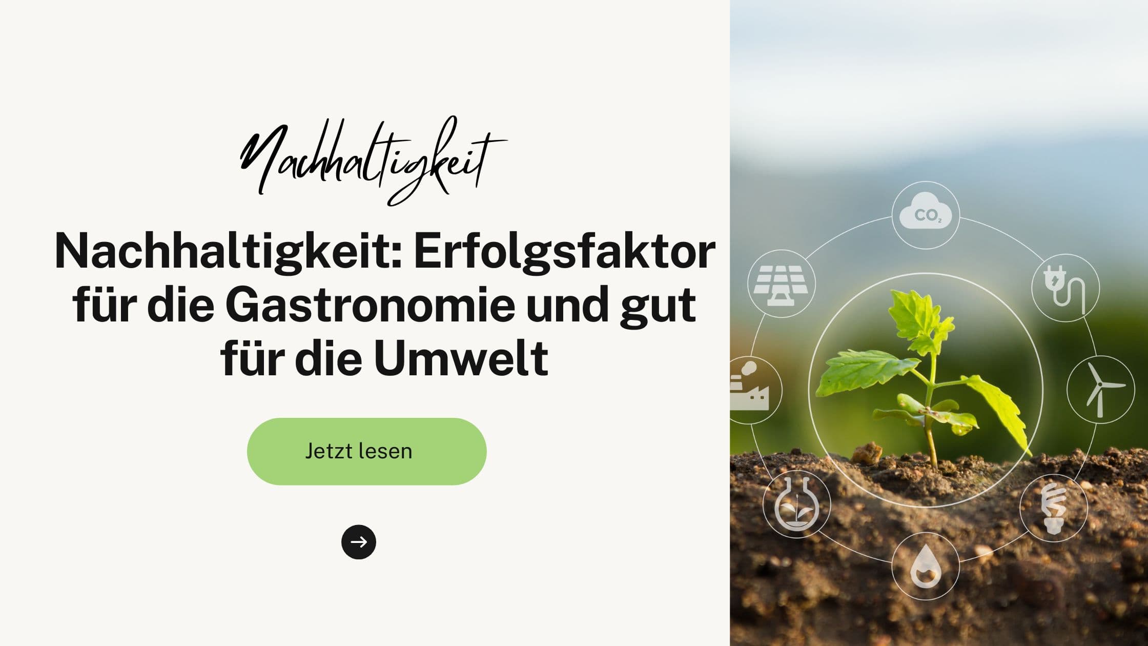 Nachhaltigkeit: Erfolgsfaktor für die Gastronomie und gut für die Umwelt