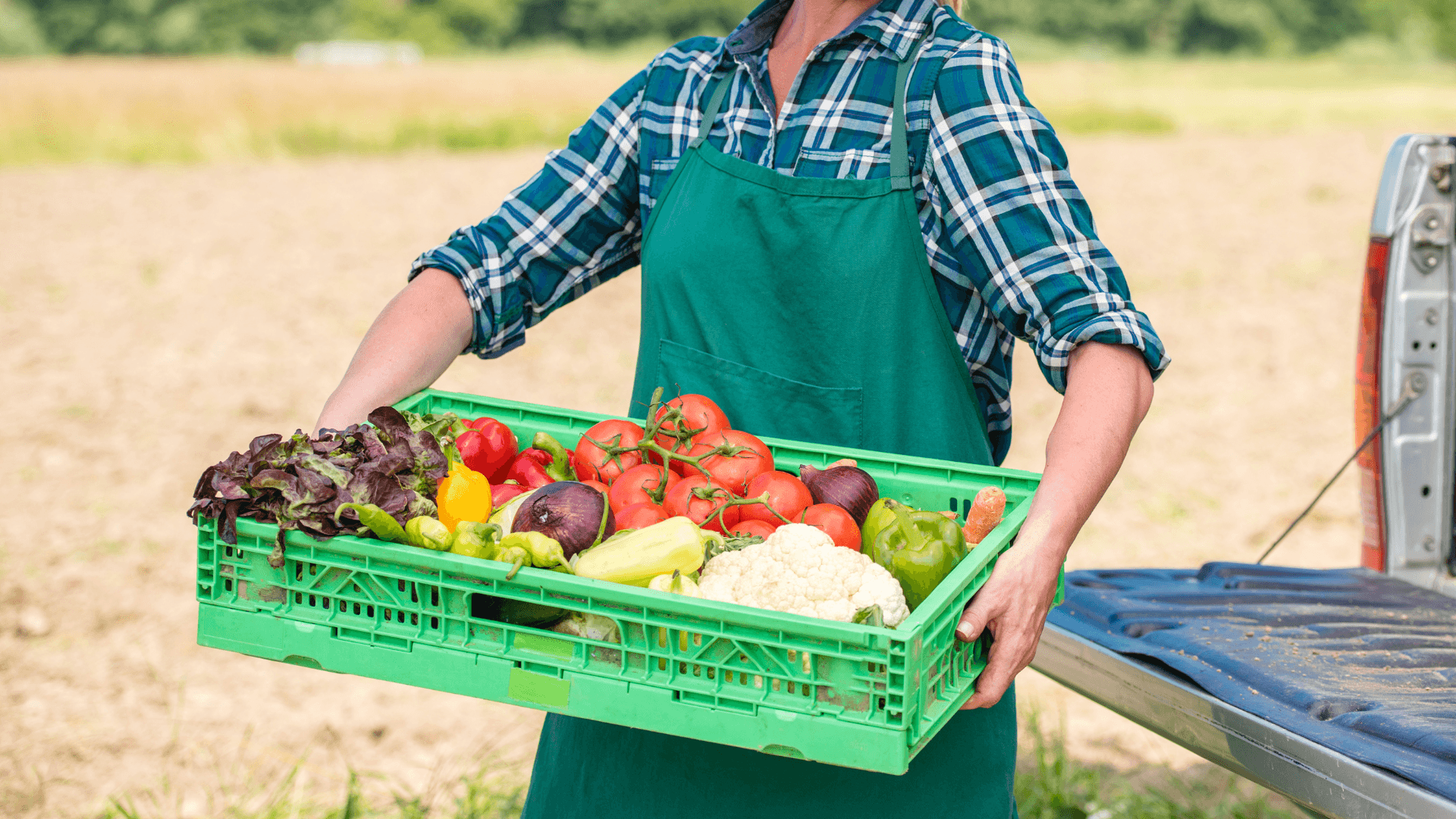 Foodsharing - Gegen die Verschwendung von Lebensmitteln 