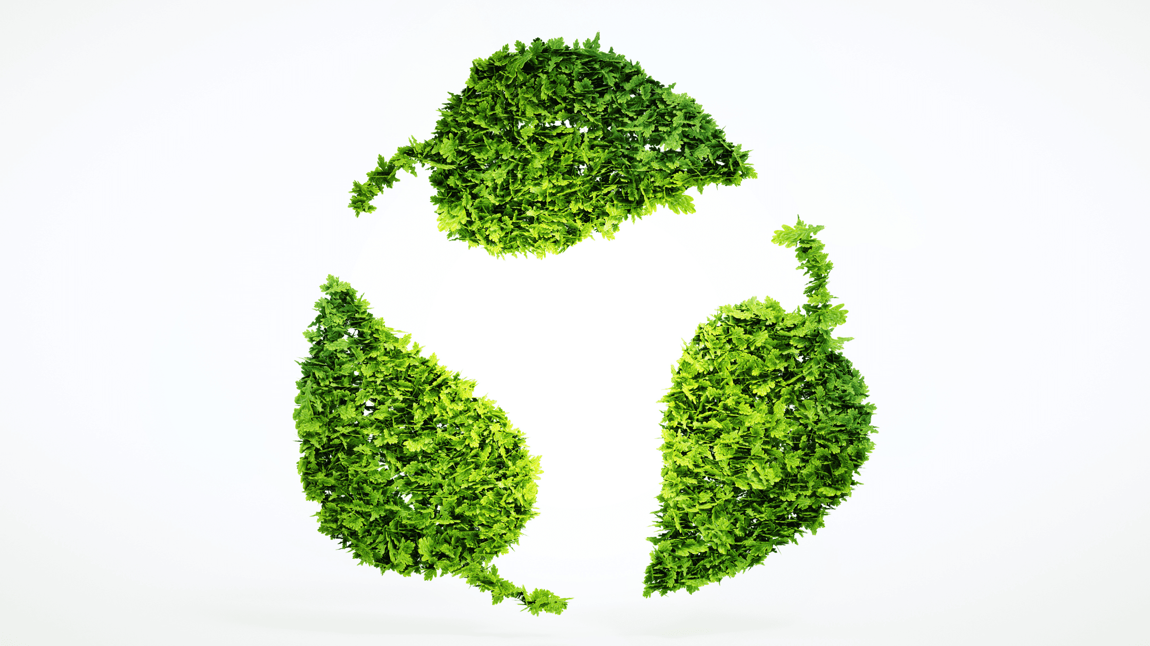 Bilder für Blogs (18).png